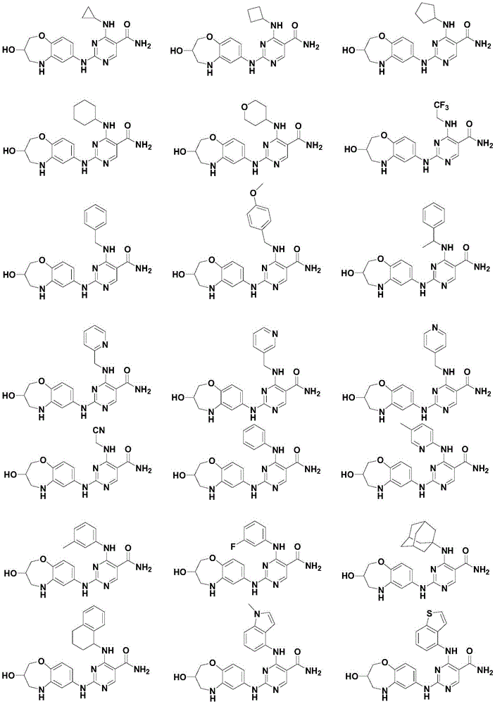 Figure FDA0003855853530000031