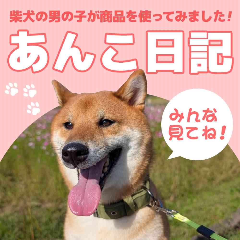 あんこ日記