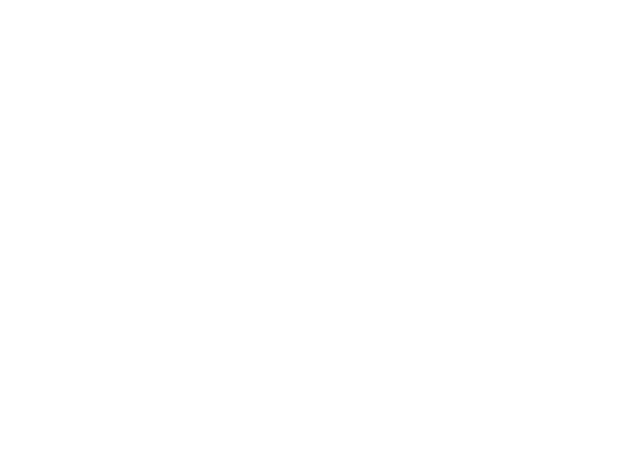 FY2025 revenue ¥205.4 bn