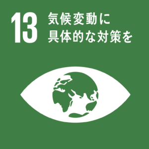 sdgs_icon_13