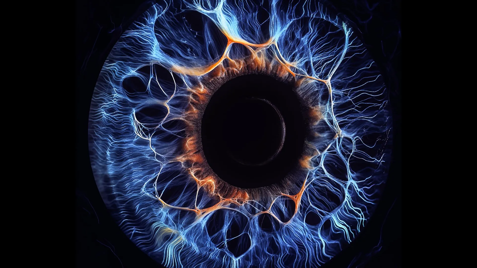 How the Brain Rebuilds Vision After Trauma